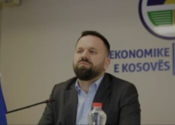 Rritja e çmimeve, Rukiqi: Qeveria e Kosovës nuk po e pranon që ka krizë ekonomike