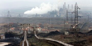 Kosova ka thëngjill por importon nga jashtë – kompanitë vendore po blejnë nga Serbia