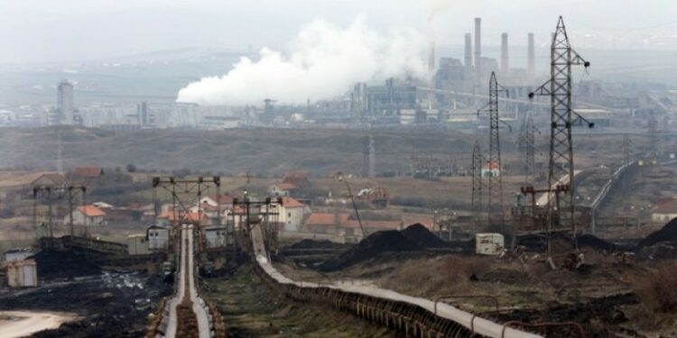 Kosova ka thëngjill por importon nga jashtë – kompanitë vendore po blejnë nga Serbia