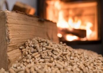 Çmimi i druve në Kosovë deri 100 euro për metër kub, peleti shkon mbi 700 euro për ton