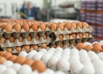 Shtrejtohen sërish vezët dhe sheqeri