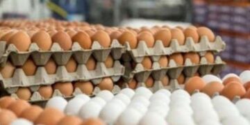 Shtrejtohen sërish vezët dhe sheqeri