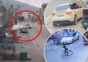 Tesla’ jashtë kontrolli lë dy të vdekur me shpejtësi maksimale, para përplasjes