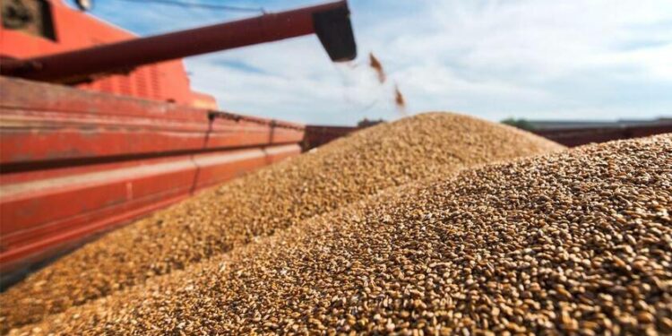 Për origjinën e produkteve nga Kosova ndahen 15 milionë euro për Rezervën Shtetërore