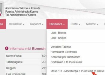Bizneset që hapin vende të reja pune për gratë do të mbështeten nga shteti për tre muaj