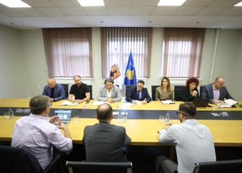 BERZH ËSHTË E PËRKUSHTUAR NË MBËSHTETJEN E REFORMËS SË TRANSPORTIT URBAN NË KRYEQYTET