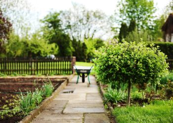 Ja çfarë duhet të bëni në kopsht për të përgatitur bimët për vjeshtë