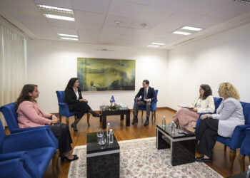 Kryeministri Kurti priti në takim Shefen e UN Women, zyra në Kosovë, Vlora Nushi