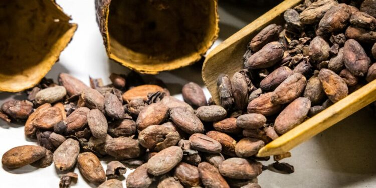 Një revolucion me çokollatë? Shkencëtarët zviceranë kanë gjetur një mënyrë të re përgatitjeje