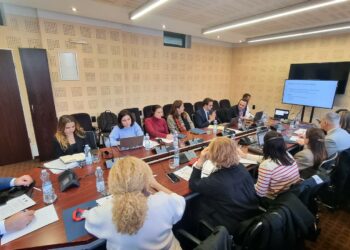 Grupi Punues për Barazi Gjinore: Partneritete të Reja për Luftën Kundër Dhunës dhe Avancimin e Grave