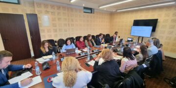 Grupi Punues për Barazi Gjinore: Partneritete të Reja për Luftën Kundër Dhunës dhe Avancimin e Grave