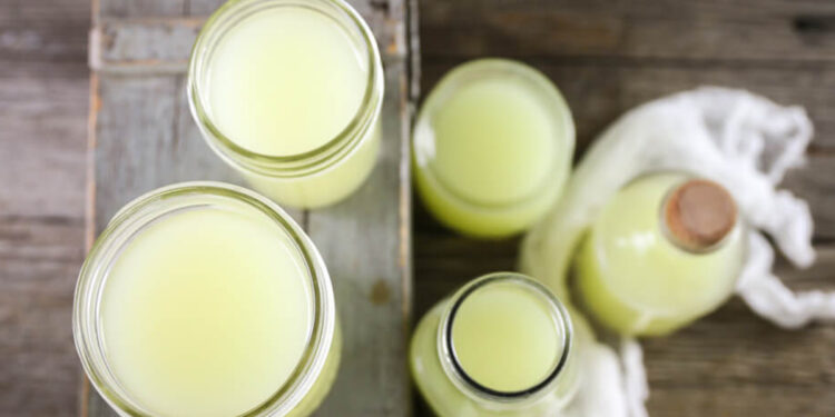 Hipokrati dhe Pija e Pashuar: Hirra e Dhisë, një Eliksir i Mrekullueshëm