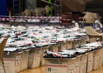 Lëvizja Vetëvendosje Kryeson në Numërimin e Votave të Diasporës për Zgjedhjet e Kosovës