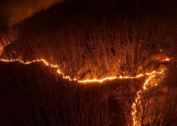 Zjarr në malet e Kamenicës