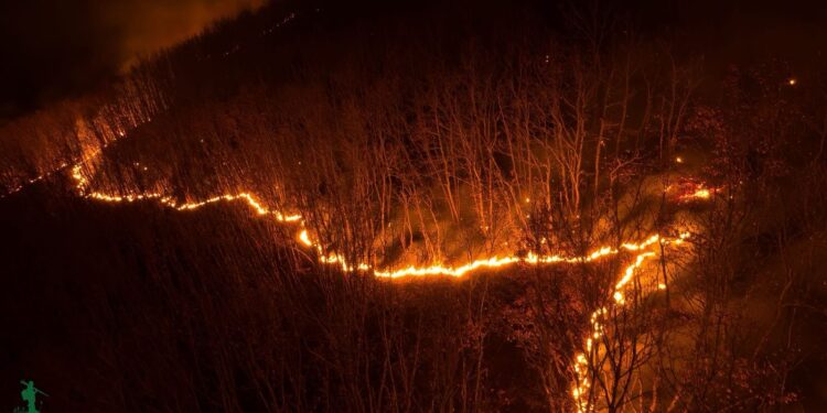 Zjarr në malet e Kamenicës