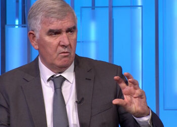 Demo Berisha pjesë e Lëvizjes Kombëtare për Popullin e Shtetin të Aleksadar Vuqiqit