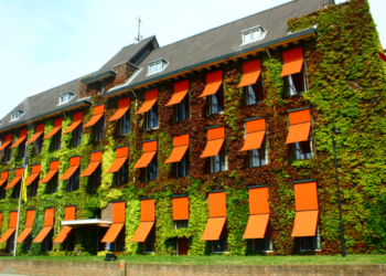 “Zhduket” dëshmitari, Haga tentoi të fshihte rastin