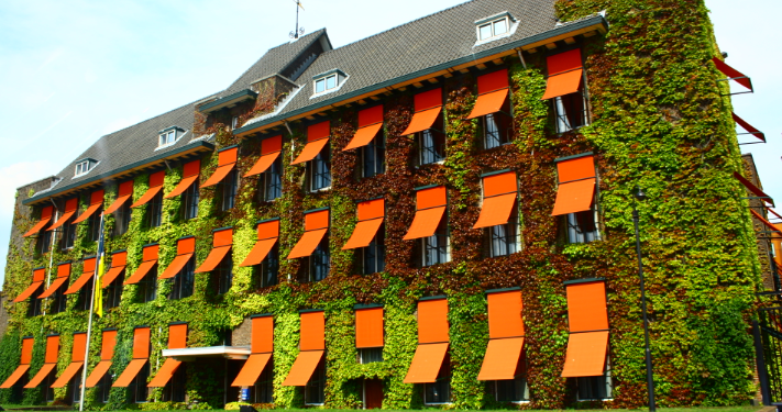 “Zhduket” dëshmitari, Haga tentoi të fshihte rastin