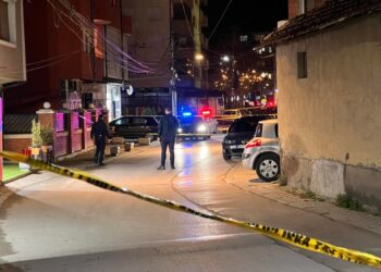 Arrestohet i dyshuari – në shtëpi i gjendet një armë dhe pesë fishekë