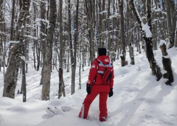 “Babë kam mbet në mal”, fjalët e fundit të 27 vjeçarit që u gjetë pas 4 ditësh kërkimesh