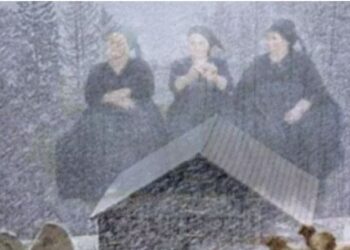 Borë në pranverë, kjo është historia pas mitit ‘po shkunden plakat’