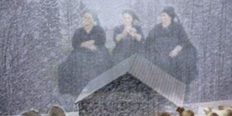 Borë në pranverë, kjo është historia pas mitit ‘po shkunden plakat’