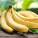 Çfarë ndodh me trupin tuaj nëse hani banane çdo ditë