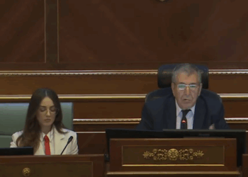 Bashkëkryesuesja e seancës kritikon Deharin: Pashë shumë parregullsi nga fillimi