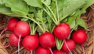 Rrepkat: Mrekullitë natyrale për shëndetin dhe dobësimin