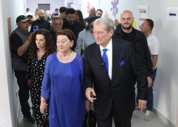 Berisha pas Votimit: Sot vendoset e ardhmja