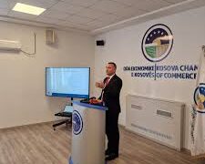 Kryetari i Odës Ekonomike kërkon shtyrjen e shtrenjtimit të energjisë për një vit