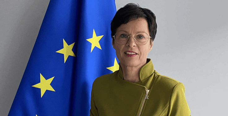 Kos bën thirrje për formimin sa më të shpejtë të institucioneve të Kosovës