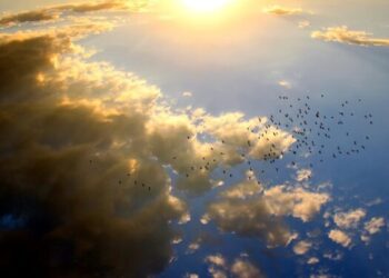 Parashikimi i motit për të martën: Diell dhe vranësira lokale, temperatura deri në 22°C në Kosovë