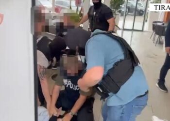 Trafik armësh nga Kosova në Shqipëri – 10 të arrestuar në operacionin “Puzzle”, sekuestrohen armë, municione dhe fara kanabisi