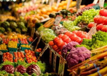 Hekuri – elementi jetik për organizmin dhe roli i tij në parandalimin e anemisë