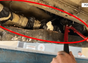 Zbulohet arsenal armësh në Portin e Durrësit – Automjeti i mbetur prej dy vitesh rezulton me destinacion Afrikën