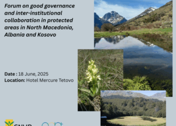 Forum Rajonal për Zonat e Mbrojtura në Tetovë: Bashkëpunim mes Maqedonisë së Veriut, Shqipërisë dhe Kosovës