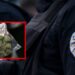 Zbarkim i Policisë në disa qytete – rrëzohet rrjeti i drogës, ka të arrestuar!