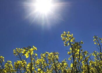 Mot i nxehtë dhe me diell këtë të shtunë në rajon