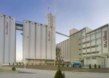 Skandal në Kosovë: AUV Zbulon 100 Tonë Misër me Aflatoksinë B1 Kancerogjene në Kompaninë ‘M-Sillosi’