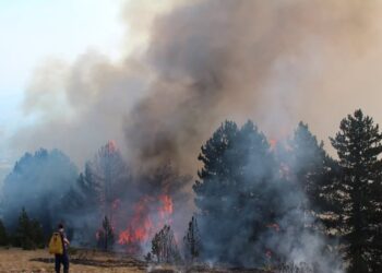 APEL I FUQISHËM PËR KUJDES NGA ZJARRI – AGJENCIA E MENAXHIMIT EMERGJENT U BËN THIRRJE QYTETARËVE: MOS NDEZNI ZJARR!