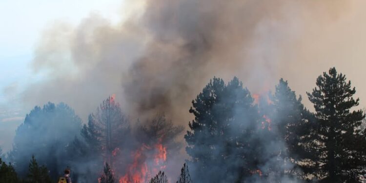 APEL I FUQISHËM PËR KUJDES NGA ZJARRI – AGJENCIA E MENAXHIMIT EMERGJENT U BËN THIRRJE QYTETARËVE: MOS NDEZNI ZJARR!