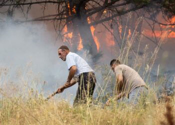 Zjarrvënie e Dyshuar në Corroticë: Flakët Përfshijnë Pishat e Rralla, Banorët dhe Zjarrfikësit në Luftë me Zjarrin!