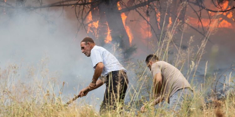 Zjarrvënie e Dyshuar në Corroticë: Flakët Përfshijnë Pishat e Rralla, Banorët dhe Zjarrfikësit në Luftë me Zjarrin!