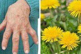 7 Bimët Kryesore për të Lehtësuar Dhimbjet e Artritit