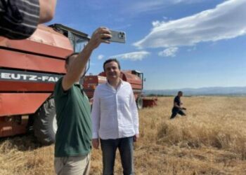 Supremja i shfuqizon disa nene të udhëzimit për pagesat direkte në bujqësi – Ministria e Faton Pecit del jashtë kornizave ligjore