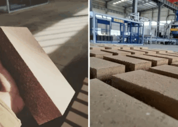 Tullat që Pastrojnë Ajrin: Inovacioni i ri që shndërron mbeturinat në lavamanë karboni