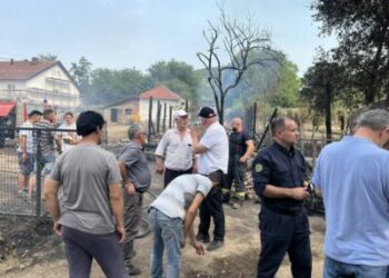 Viti: Fermerit i digjet stalla me 42 dele – Komuna premton ndihmë