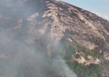 Shqipëri – Arrestohen 12 persona për zjarrvënie të qëllimshme: Policia intensifikon masat