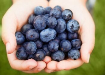 Ky është fruti që pastron enët e gjakut nga yndyra!